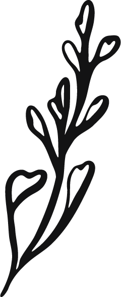 Sprig_5